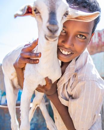 A boy embracing a goat